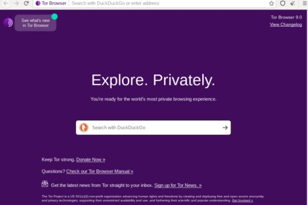 Официальный сайт даркнет